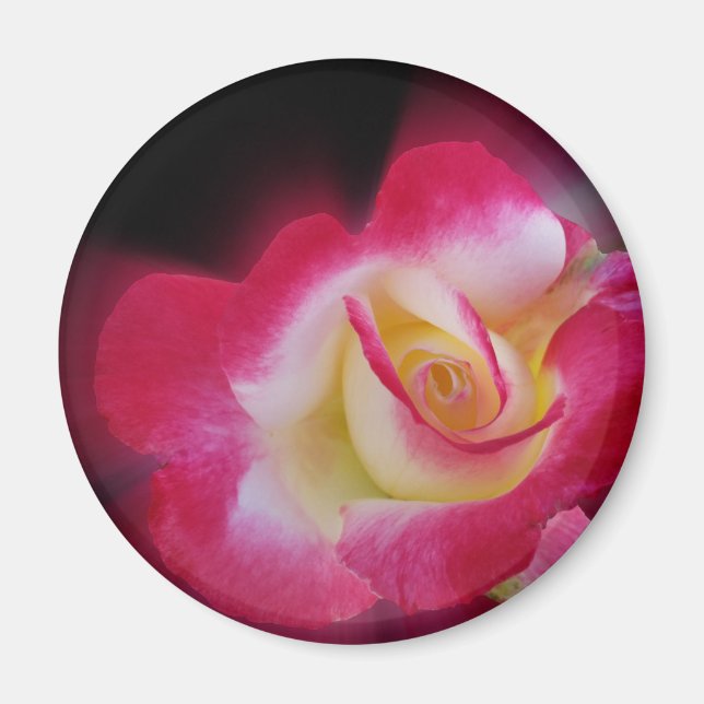 Íman rosa amarela (Frente)
