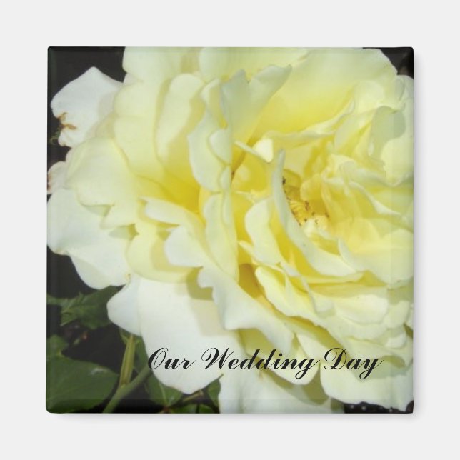 Íman Rosa Amarela (Frente)