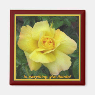 Íman Rosa amarelo