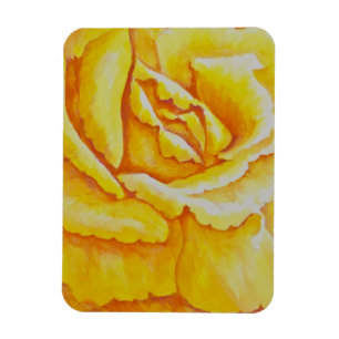 Íman Rosa amarelo