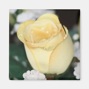 Íman Rosa amarelo