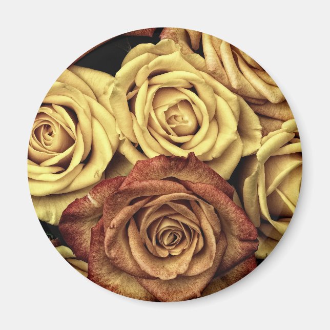 Íman Rosa amarelo e vermelho (Frente)