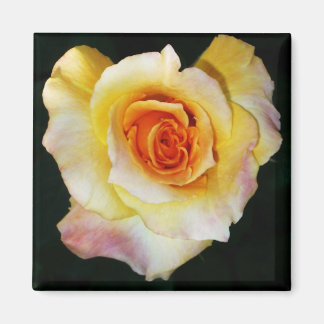Íman Rosa Amarelo Forma Coração