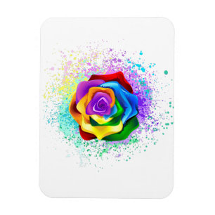 Íman Rosa Arco-Íris Colorida