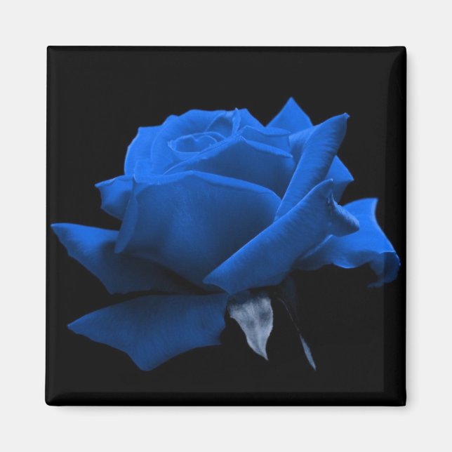 Íman Rosa azul (Frente)