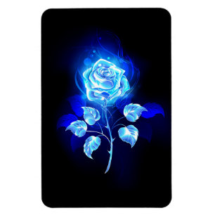 Íman Rosa Azul Ardente