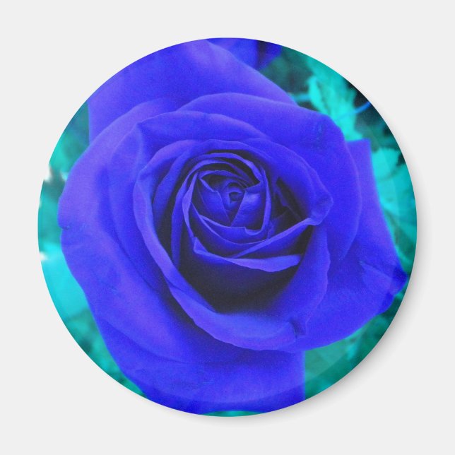 Íman Rosa azul de apphire (Frente)