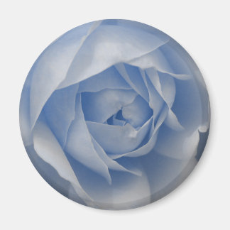 Íman Rosa azul solteiro