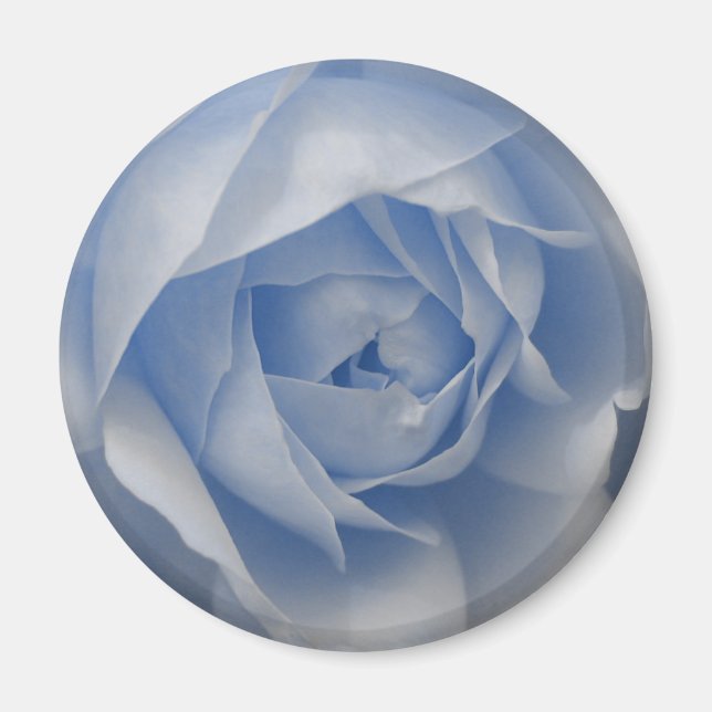 Íman Rosa azul solteiro (Frente)