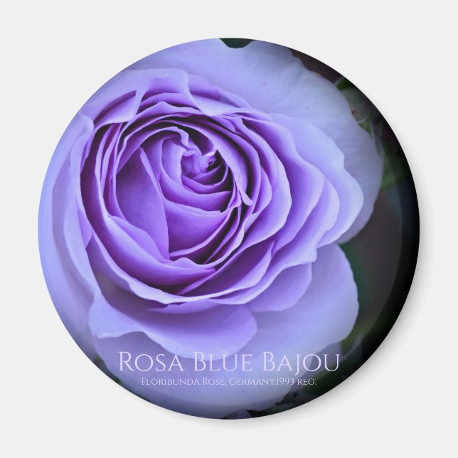 Íman Rosa Blue Bajou (Frente)