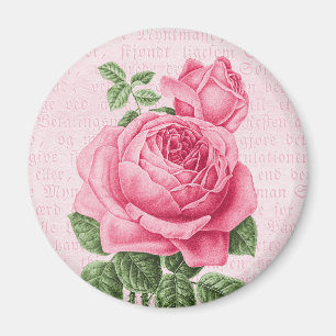 Íman Rosa bonito do rosa do vintage