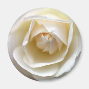 Íman Rosa branca