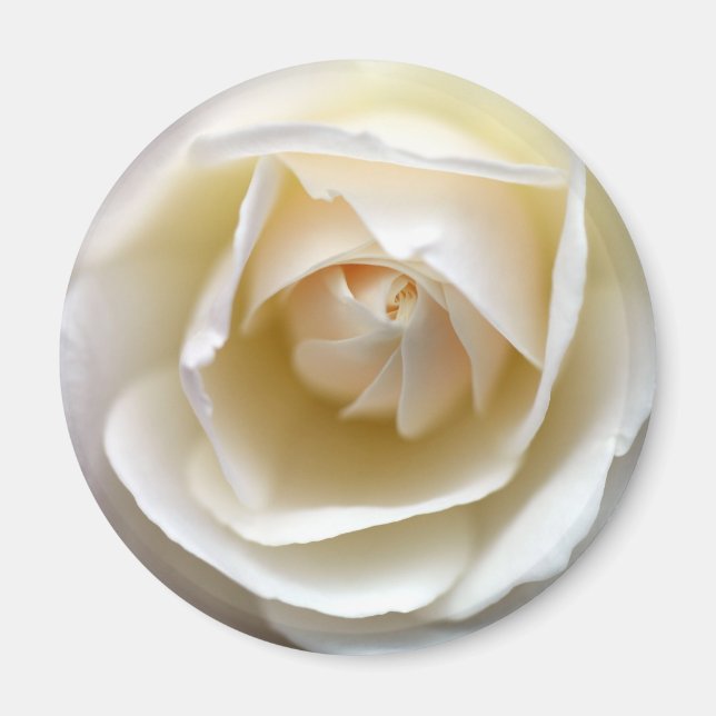 Íman Rosa branca (Frente)