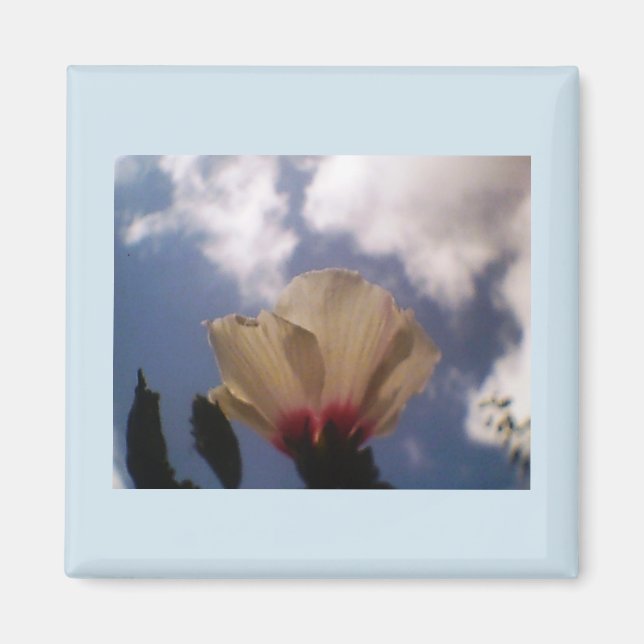 Íman Rosa branca (Frente)