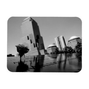 Íman Rosa branca da memória