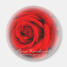 Íman Rosa Cardeal