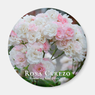 Íman Rosa Cerezo
