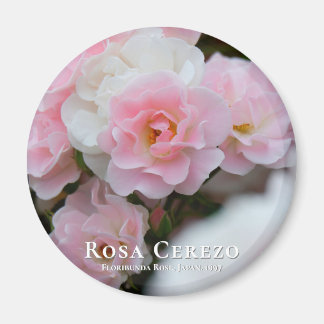 Íman Rosa Cerezo マ グ ネ fiscalização