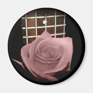 Íman Rosa cor-de-rosa castanho contra cinco fricções