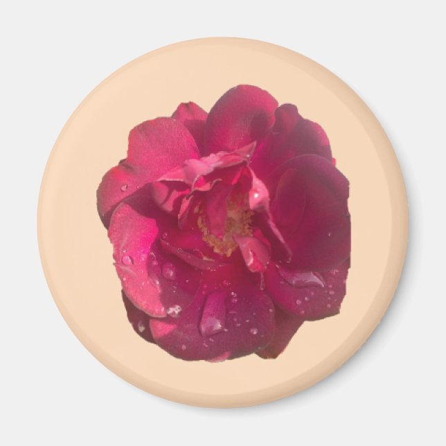 ÍMAN ROSA D (Frente)