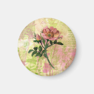 Íman Rosa de Cães