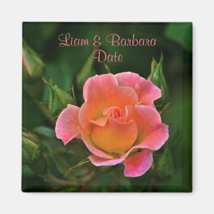 Íman Rosa de Casamento Pink de Peachy