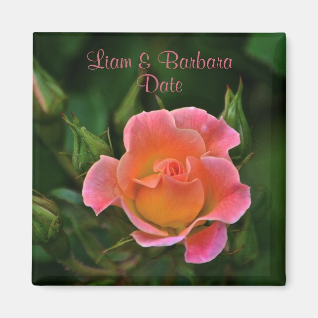 Íman Rosa de Casamento Pink de Peachy (Frente)
