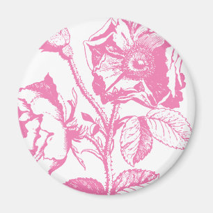 Íman Rosa de cor-de-rosa