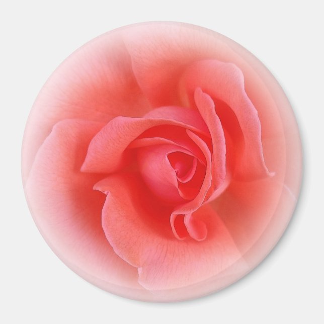 Íman rosa de coral rosa (Frente)