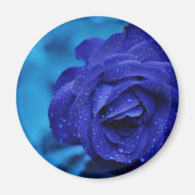 Íman Rosa de Dewdrop Azul (Frente)