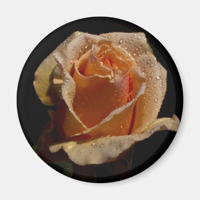Íman Rosa de laranja 1 (Frente)