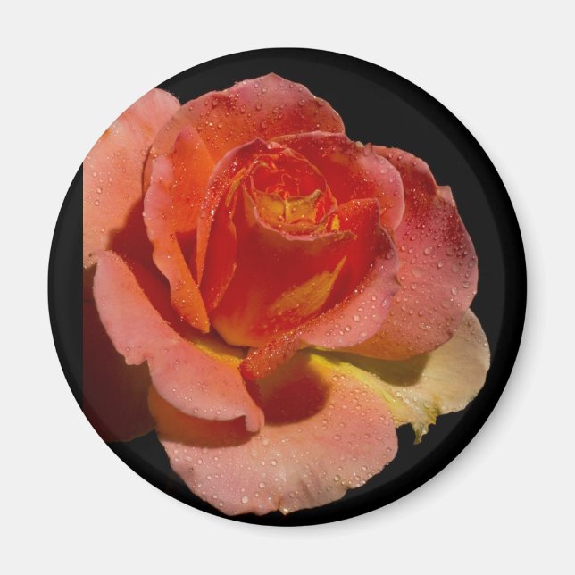 Íman Rosa de laranja 2 (Frente)