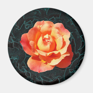 Íman Rosa de laranja claro