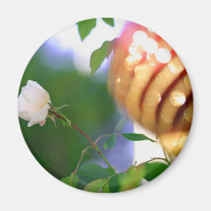 Íman Rosa de Natal Branco