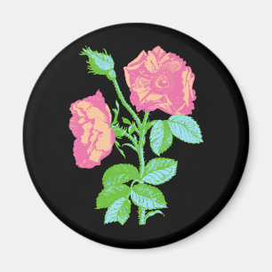 Íman Rosa de Pastel