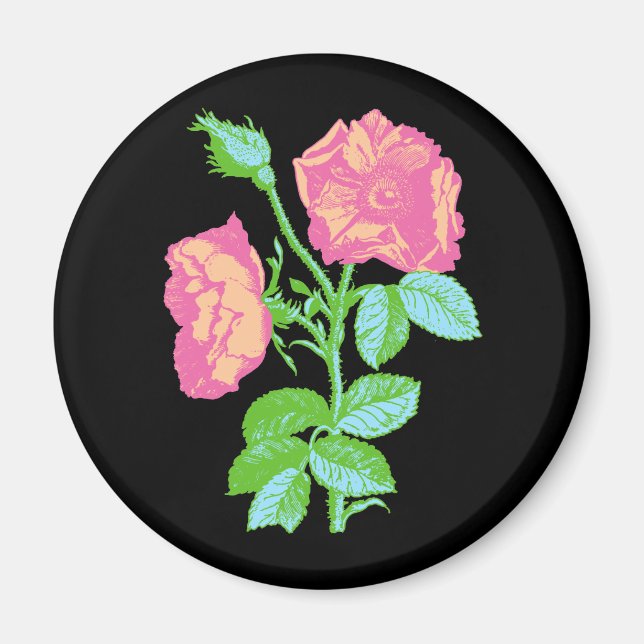 Íman Rosa de Pastel (Frente)