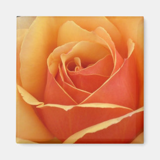 Íman Rosa de Pêssego