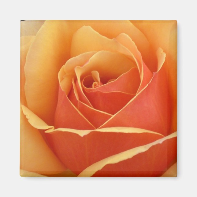 Íman Rosa de Pêssego (Frente)