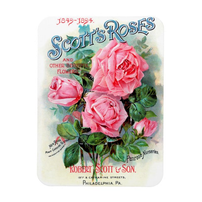 Íman rosa de Scott Magnet 1894 (Vertical)