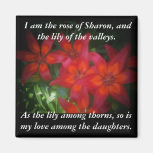 Íman Rosa de Sharon