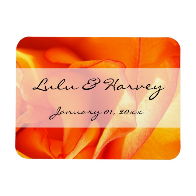 Íman Rosa de sinalização (Horizontal)