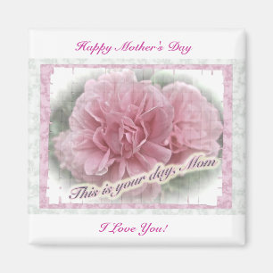 Íman rosa de Subida Rosa-dia de as mães Brilhante