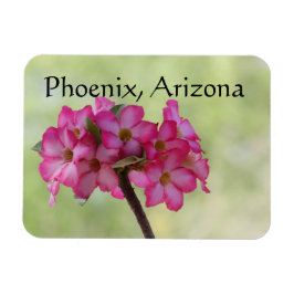 Íman Rosa do deserto em Phoenix rosa, AZ