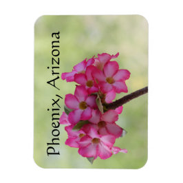 Íman Rosa do deserto em Phoenix rosa, AZ