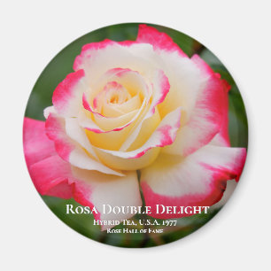 Íman Rosa Double Delight