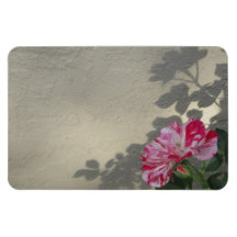 Rosa e sombra vanguardista