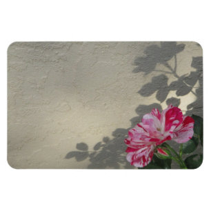 Íman Rosa e sombra vanguardista