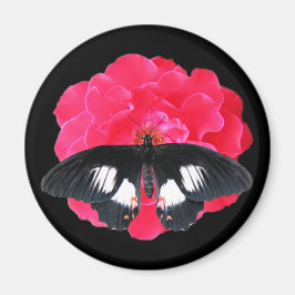 Íman Rosa e Swallowtail