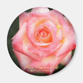Íman Rosa Elegant Lady：Round Magnet