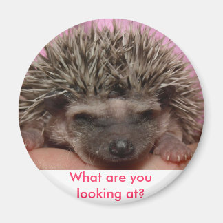 Íman rosa escuro 3, O que você está olhando?